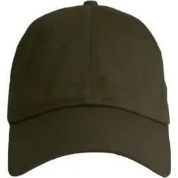 FWRD Putter Cap Olive Front
